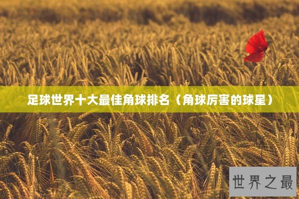 足球世界十大最佳角球排名（角球厉害的球星）