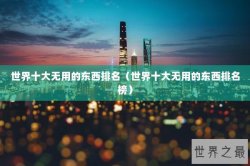世界十大无用的东西排名（世界十大无用的东西排名榜）