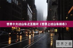 世界十大过山车之王图片（世界上过山车排名）