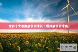 世界十大速度最快的球员（世界最快的球类）