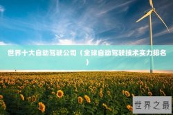 世界十大自动驾驶公司（全球自动驾驶技术实力排名）