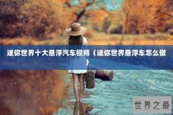 迷你世界十大悬浮汽车视频（迷你世界悬浮车怎么做）