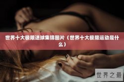 世界十大极限进球集锦图片（世界十大极限运动是什么）
