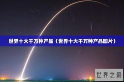 世界十大千万种产品（世界十大千万种产品图片）