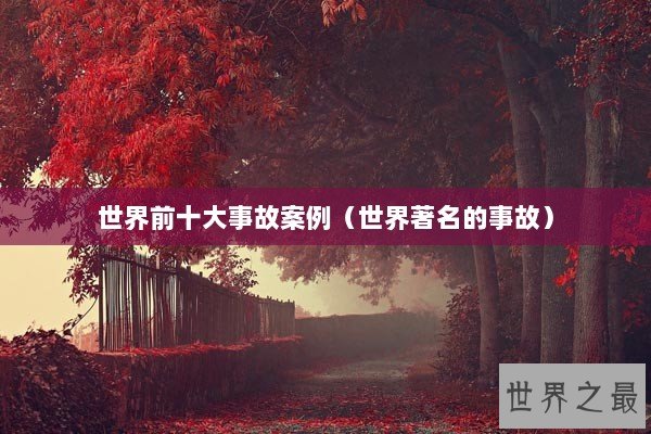 世界前十大事故案例（世界著名的事故）