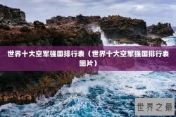 世界十大空军强国排行表（世界十大空军强国排行表图片）