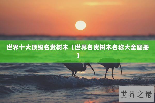世界十大顶级名贵树木(世界名贵树木名称大全图册) 世界十大顶级名贵树木(世界名贵树木名称大全图册)