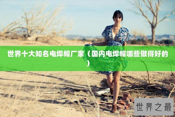 世界十大知名电焊帽厂家（国内电焊帽哪些做得好的）