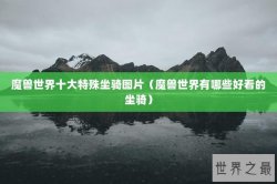 魔兽世界十大特殊坐骑图片（魔兽世界有哪些好看的坐骑）