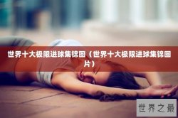 世界十大极限进球集锦图（世界十大极限进球集锦图片）