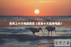 世界上十大电脑排名（世界十大品牌电脑）