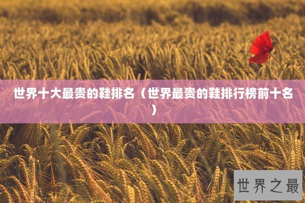 世界十大最贵的鞋排名(世界最贵的鞋排行榜前十名) 世界十大最贵的鞋排名(世界最贵的鞋排行榜前十名)