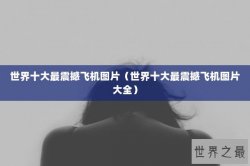 世界十大最震撼飞机图片（世界十大最震撼飞机图片大全）
