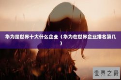 华为是世界十大什么企业（华为在世界企业排名第几）