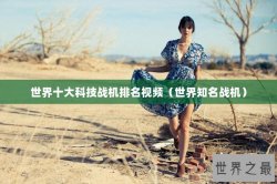 世界十大科技战机排名视频（世界知名战机）