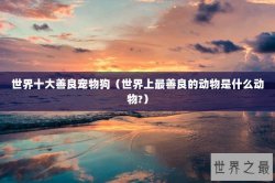 世界十大善良宠物狗（世界上最善良的动物是什么动物?）