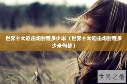 世界十大迫击炮射程多少米（世界十大迫击炮射程多少米每秒）