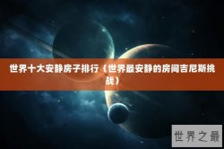 世界十大安静房子排行（世界最安静的房间吉尼斯挑战）