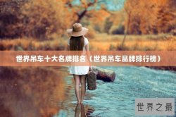 世界吊车十大名牌排名（世界吊车品牌排行榜）