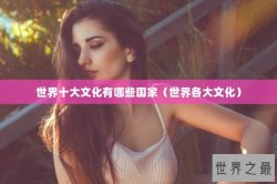 世界十大文化有哪些国家（世界各大文化）
