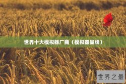 世界十大模拟器厂商（模拟器品牌）