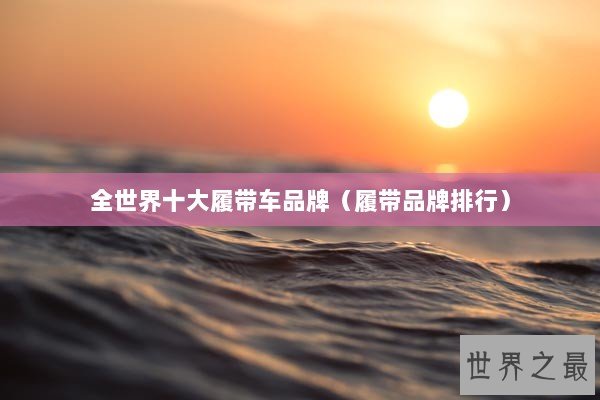 全世界十大履带车品牌（履带品牌排行）