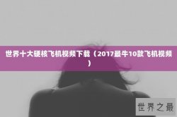 世界十大硬核飞机视频下载（2017最牛10款飞机视频）