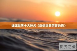 迷你世界十大神犬（迷你世界厉害的狗）