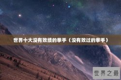 世界十大没有败绩的拳手（没有败过的拳手）