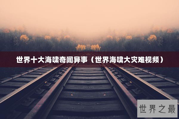 世界十大海啸奇闻异事（世界海啸大灾难视频）