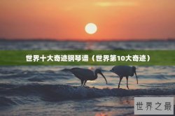 世界十大奇迹钢琴谱（世界第10大奇迹）