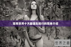 坦克世界十大最强车排行的简单介绍