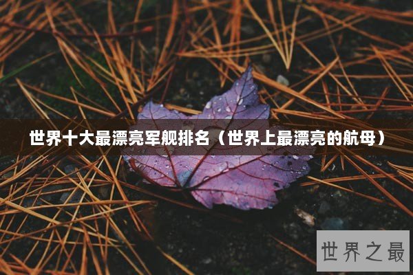 世界十大最漂亮军舰排名（世界上最漂亮的航母）