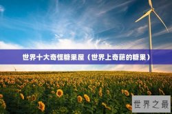 世界十大奇怪糖果屋（世界上奇葩的糖果）