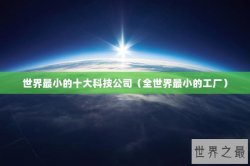 世界最小的十大科技公司（全世界最小的工厂）