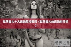 世界最大十大蜘蛛照片视频（世界最大的蜘蛛排行榜）