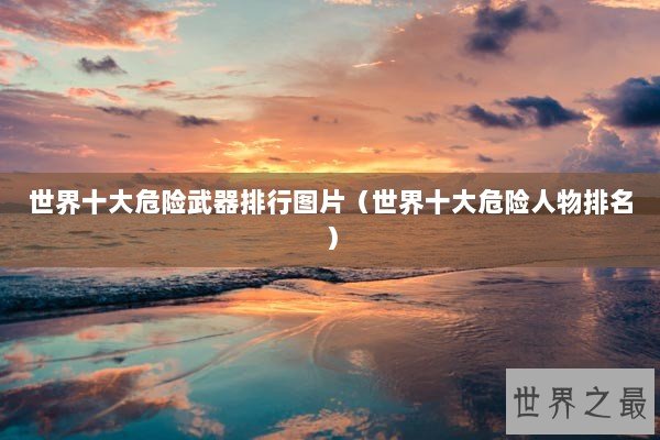 世界十大危险武器排行图片（世界十大危险人物排名）