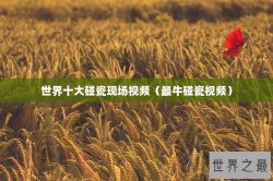 世界十大碰瓷现场视频（最牛碰瓷视频）