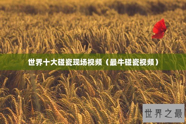 世界十大碰瓷现场视频（最牛碰瓷视频）