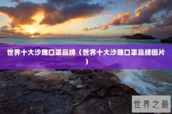 世界十大沙雕口罩品牌（世界十大沙雕口罩品牌图片）