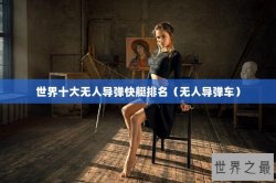 世界十大无人导弹快艇排名（无人导弹车）