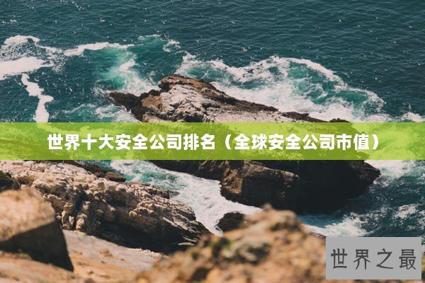 世界十大安全公司排名（全球安全公司市值）