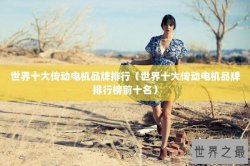 世界十大传动电机品牌排行（世界十大传动电机品牌排行榜前十名）