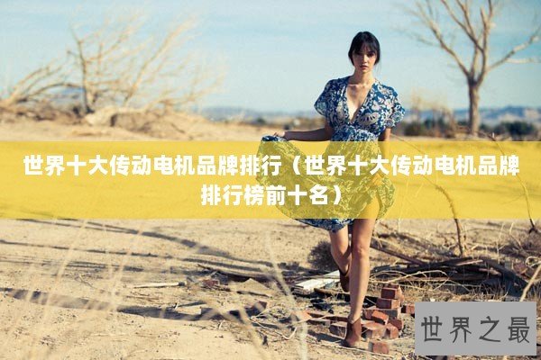 世界十大传动电机品牌排行（世界十大传动电机品牌排行榜前十名）