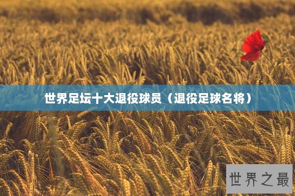世界足坛十大退役球员（退役足球名将）