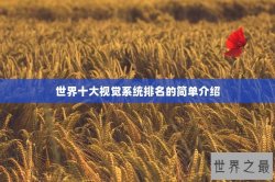 世界十大视觉系统排名的简单介绍