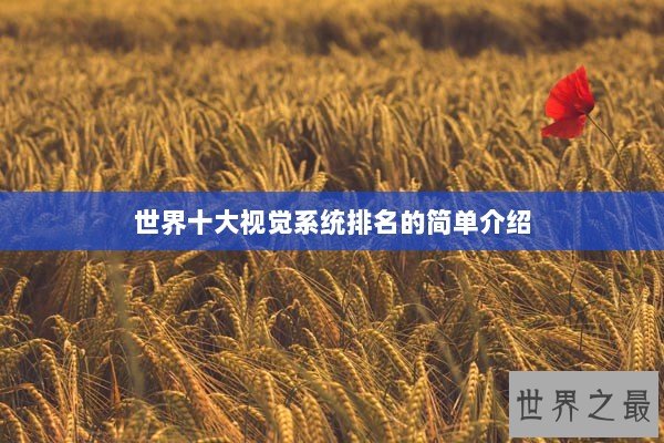 世界十大视觉系统排名的简单介绍