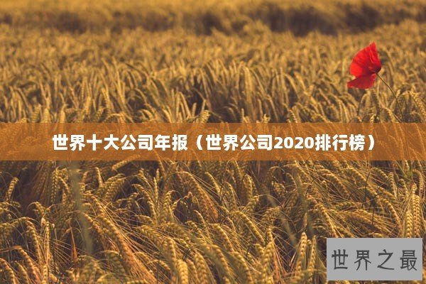 世界十大公司年报（世界公司2020排行榜）