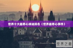 世界十大最恶心球迷排名（世界最恶心事件）