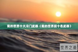 我的世界十大冷门武器（我的世界前十名武器）